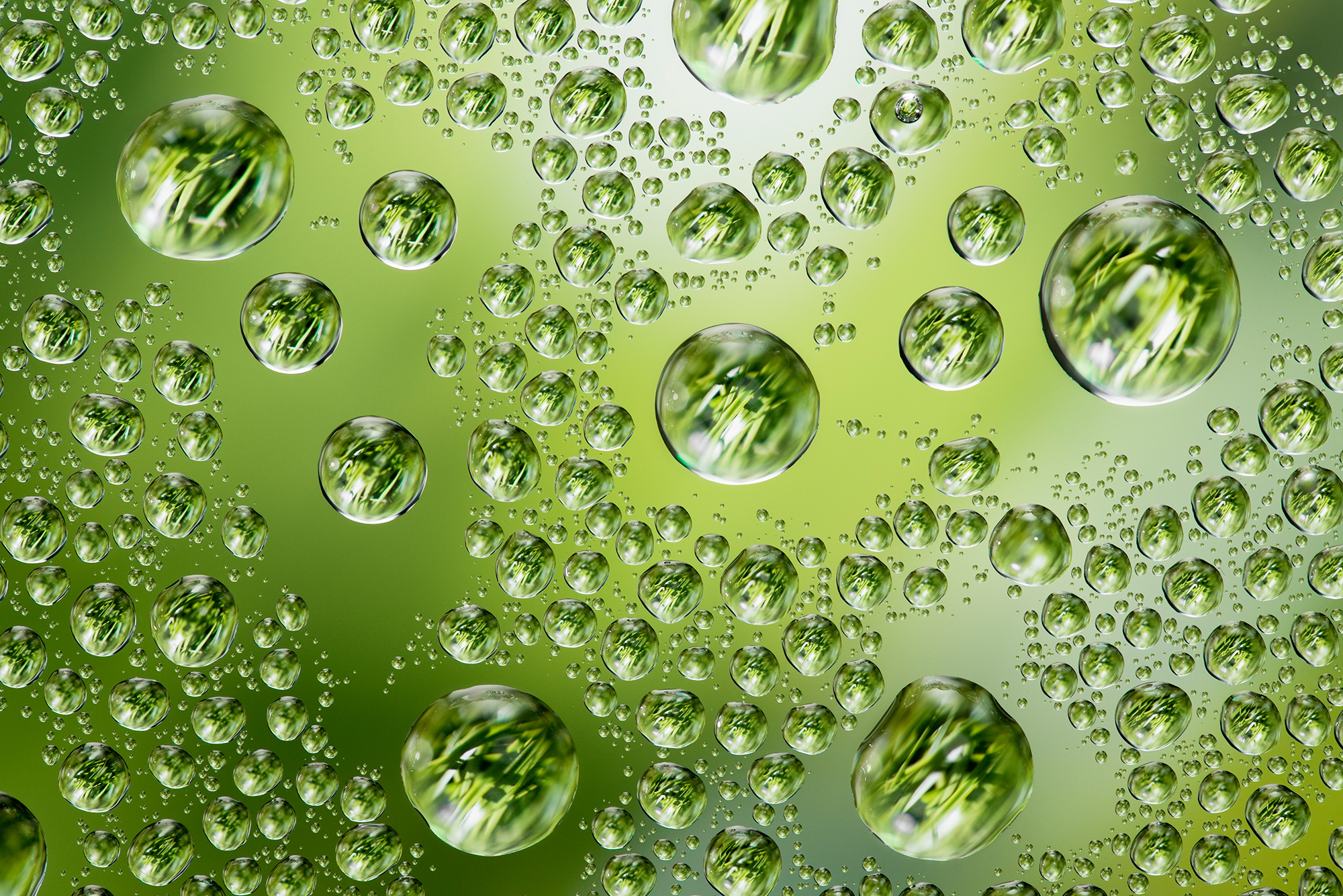 Прозрачная зеленая вода. Зеленые капли. Фон с капельками воды. Фон капли. Зеленый фон с капельками.